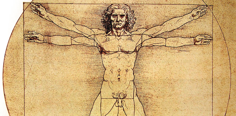 Anatomy 101 for the Jiu Jitsu Athlete - JJMAG